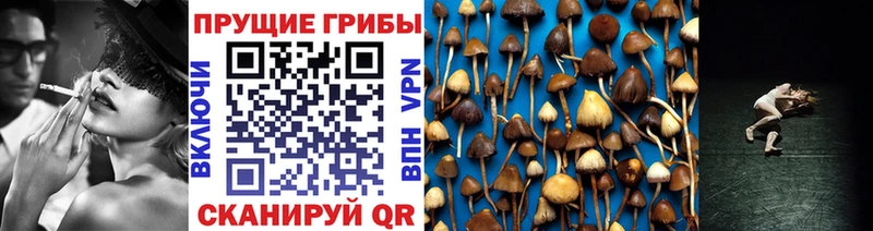 darknet какой сайт  Иннополис  ОМГ ОМГ как войти  Галлюциногенные грибы мицелий  где купить наркоту 